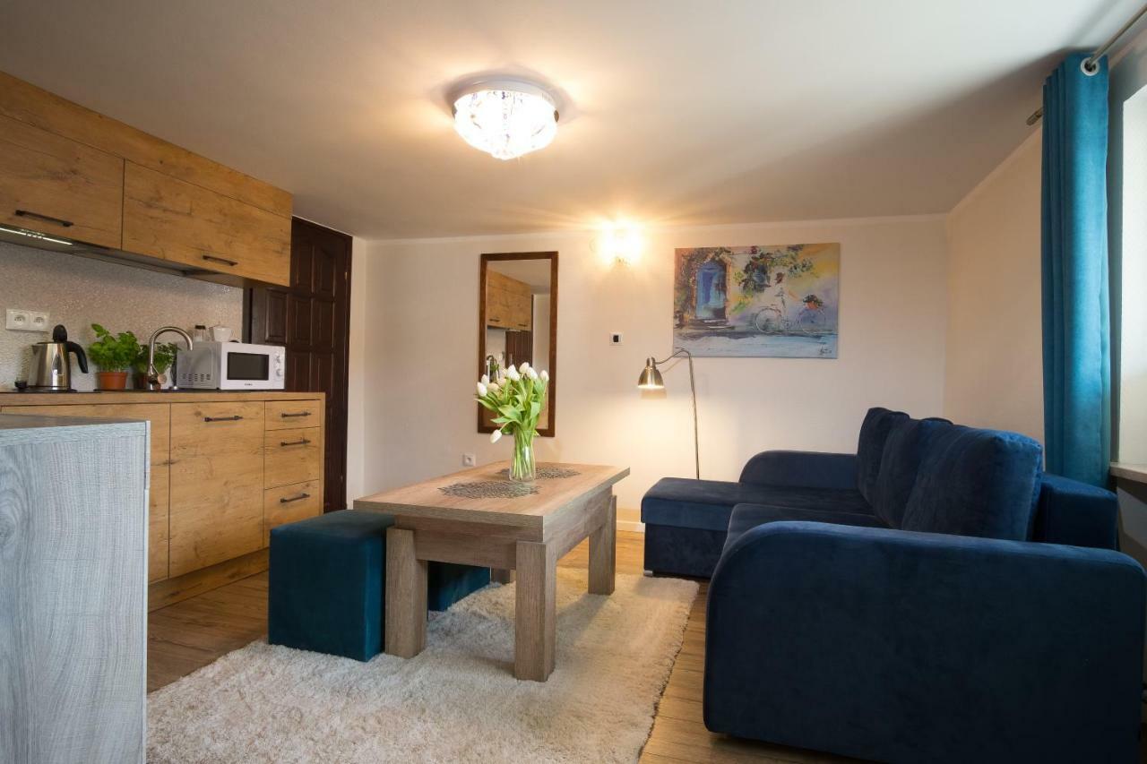 Apartamenty Ciche Wzgorze Закопане Экстерьер фото